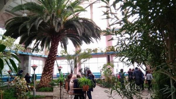 Зимний сад Темиртау - фото 1