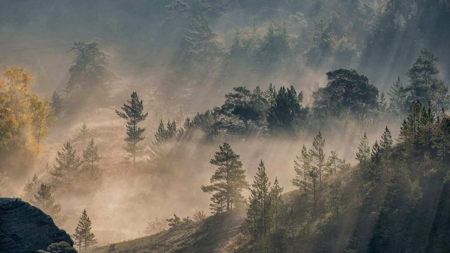 Karaganda Run 2025 стал настоящим праздником движения, энергии и единства - фото 1