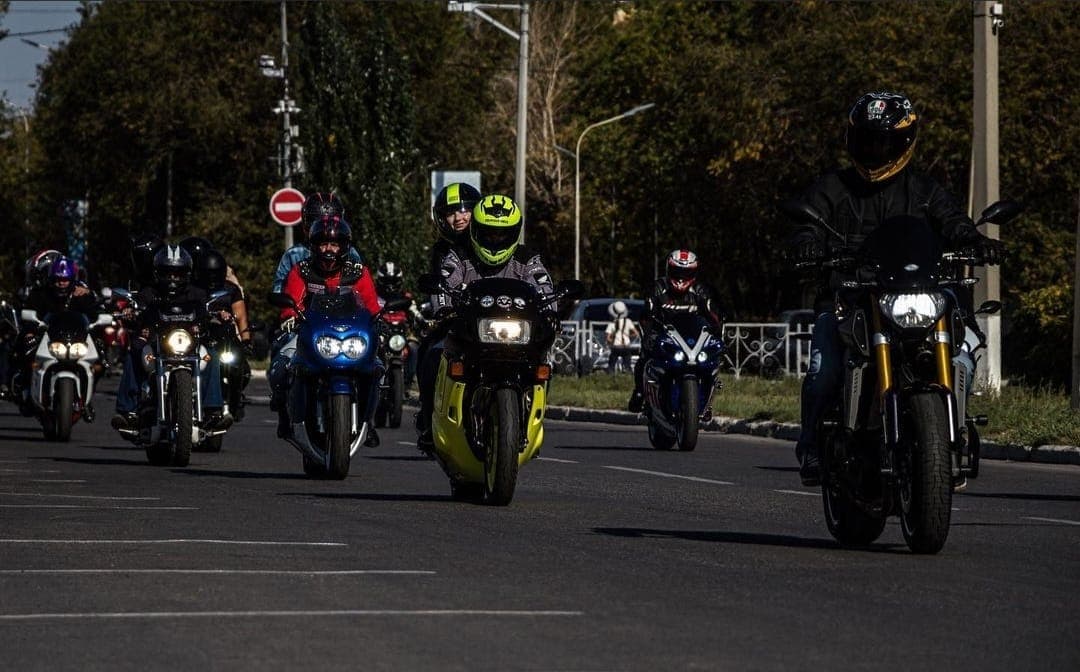 Хвойные породы деревьев будут охранять в Караганде и городах-спутниках в преддверии Нового года