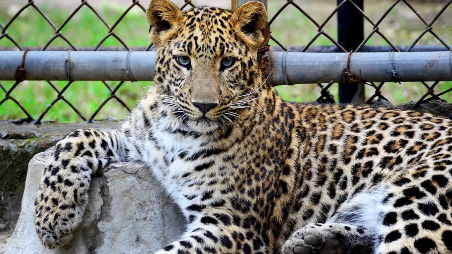 Карагандинский зоопарк - фото 1