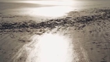 Сапбордшылар командасы Балқаш көлін сәтті кесіп өтті
